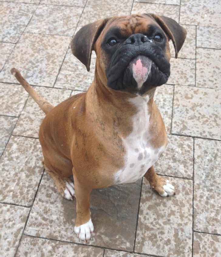 c5f1885e6e99001894c4b9360c