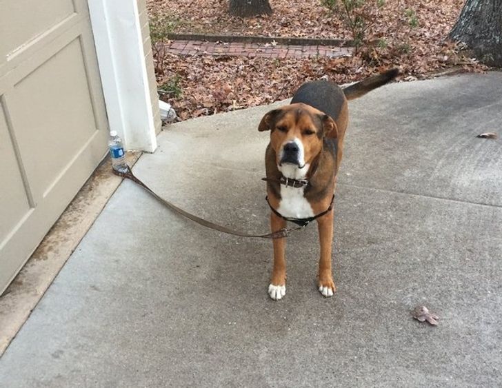 c5f39e592898194f57396032df