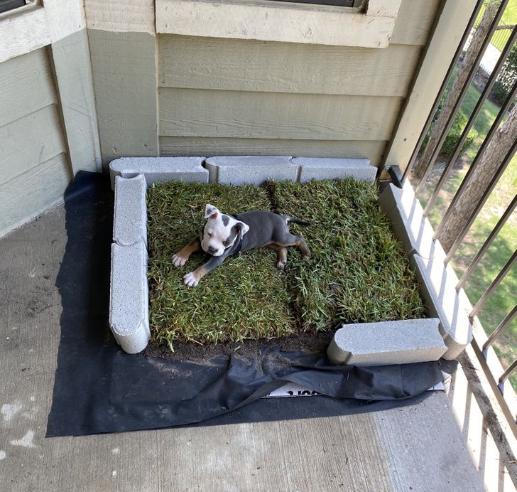 c5f9e3508a8959bbe8f75ba9cc