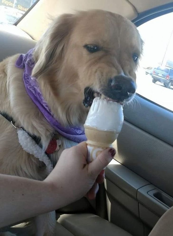 c608dd52ef8983e9adba944450