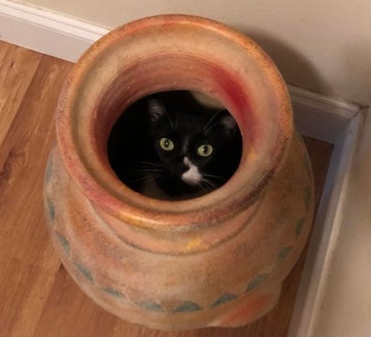 c60a155c92995fc26c8724a5e0