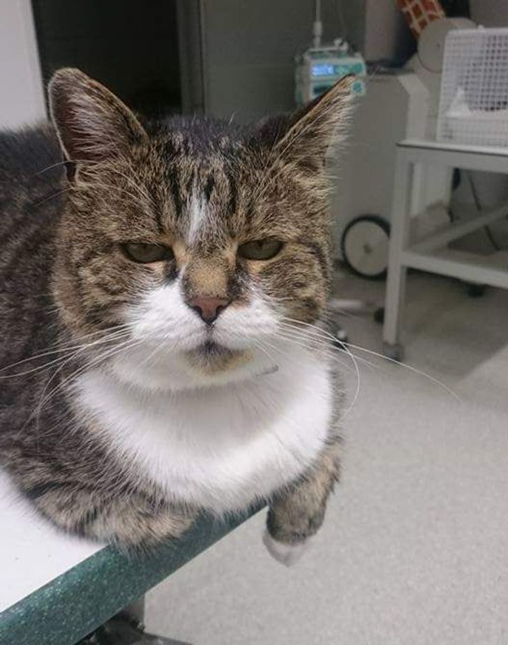 c60ab25a2aa9859fe1fb0d4f04