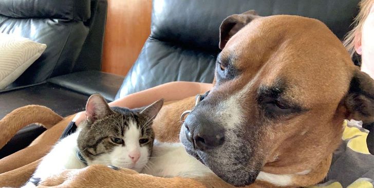 c614675527a56dbbbe4f717118