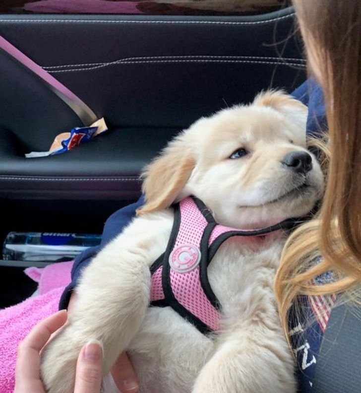 c6283757fa9f6dd3f6055de9b7