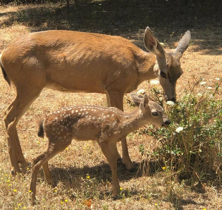 c631fc5a4fa3098c5cdf0aafc3