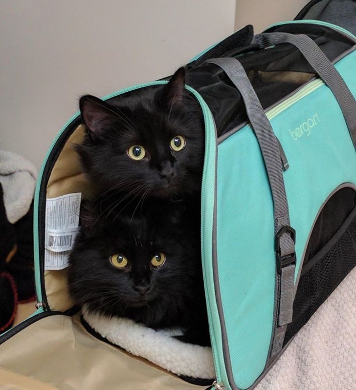 c634e5562484366cd15563df6b