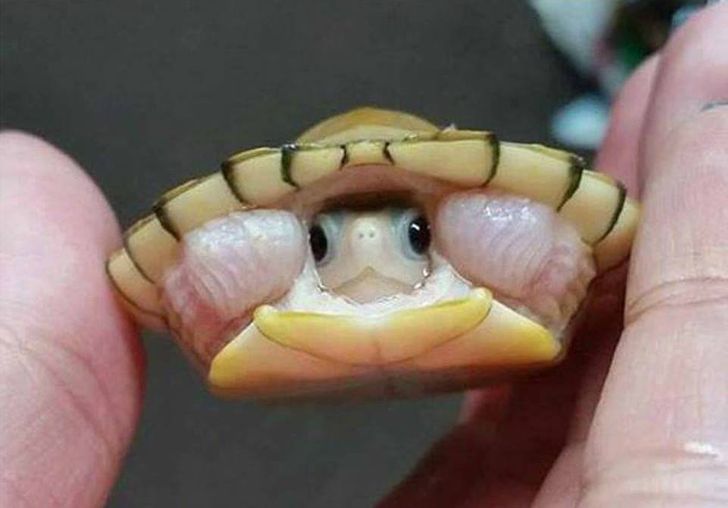 c63c9459d7845361c41edc5dab