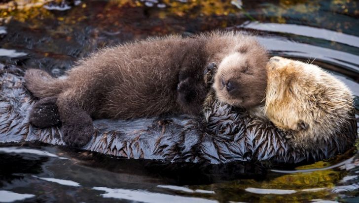 c63cc35a3e91e85816bbdab47a