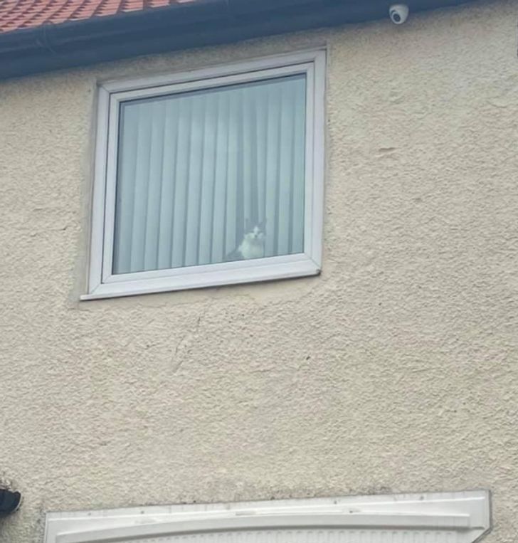 c6433650f084bf546021d39ac9