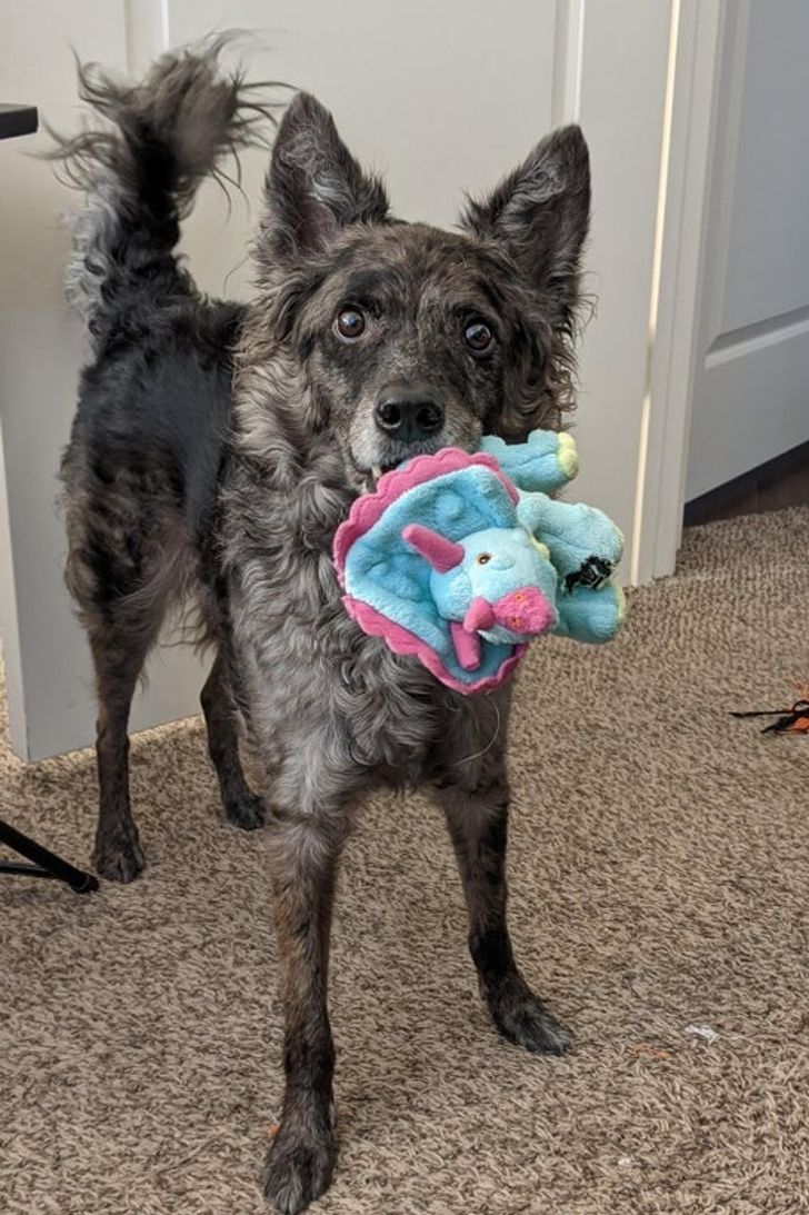 c647f75aba8f2fcdc05c1dad13