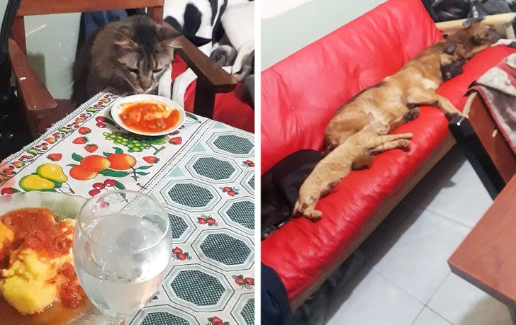 c6499450a498672b3b99e9f481