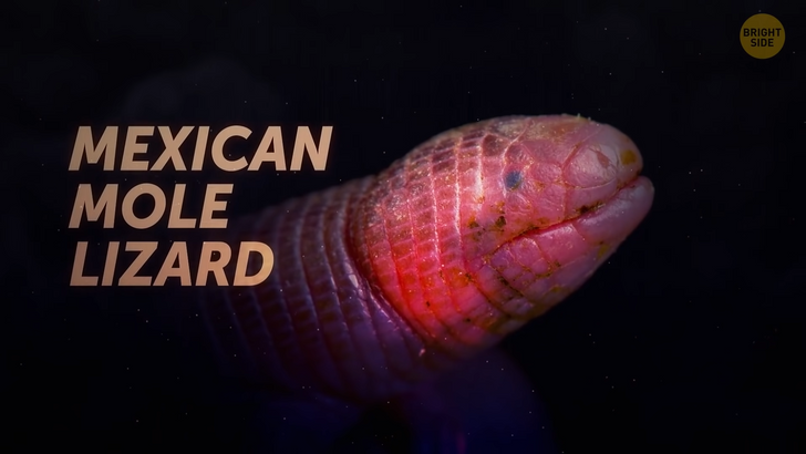 c649da5c63a02dc236d991142f