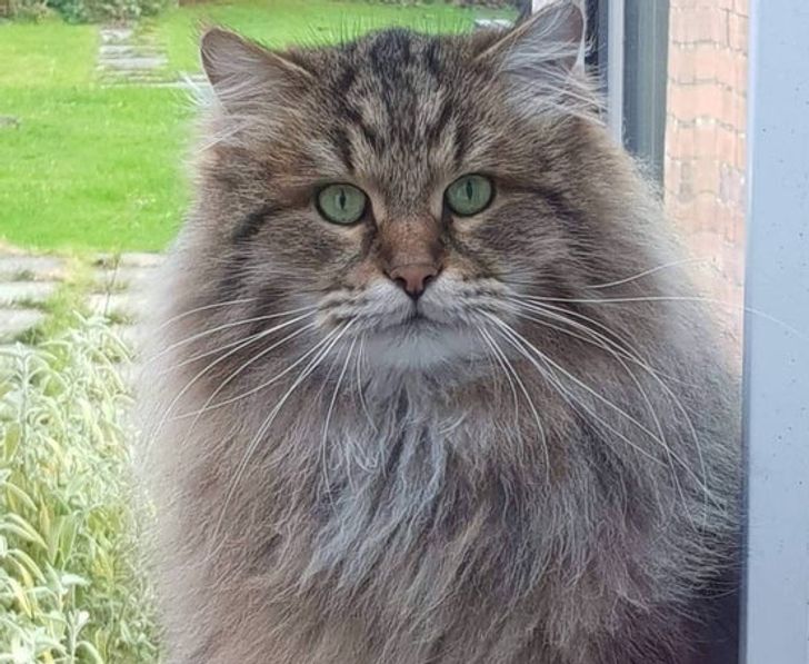 c64a715633b501634177c7e19d c64a715633b501634177c7e19d