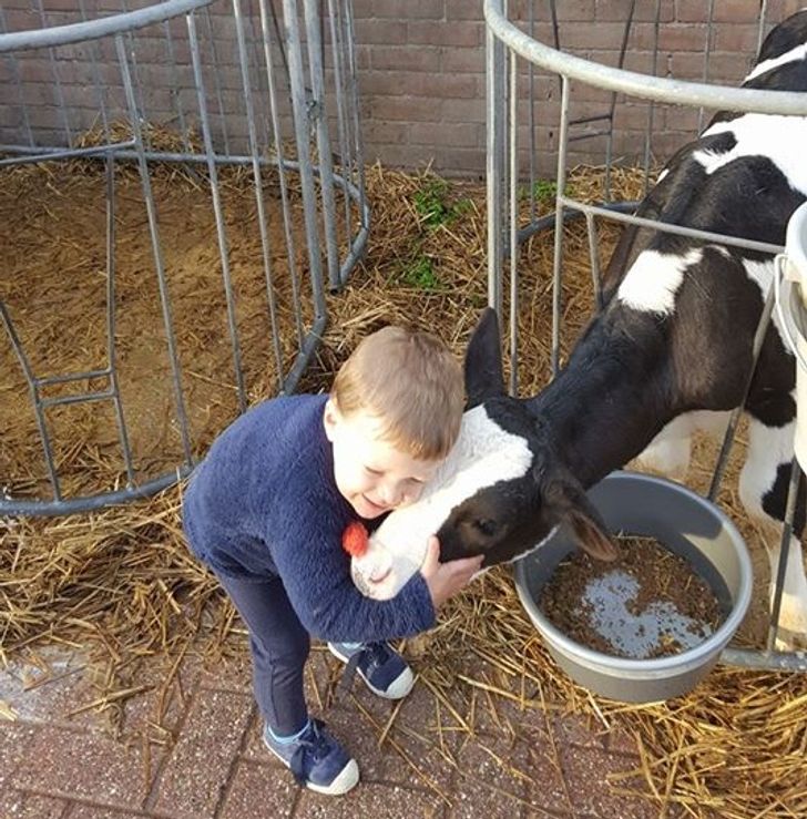 c65119520fa0d3d2e04208a9e0