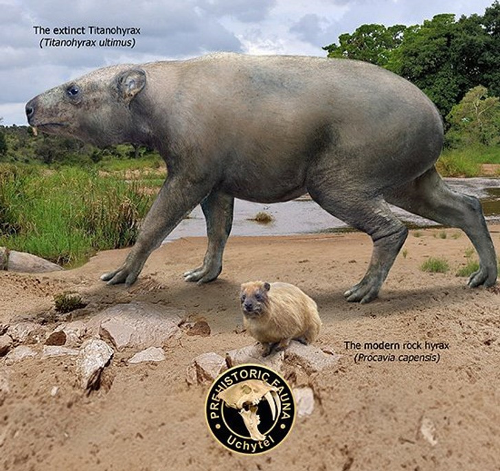 c6511a5779a185ea6508121920