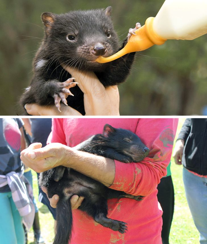 c6554a5008a8f7a33500726433