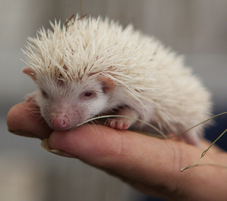 c656565065bc68c87c3e6a0fd4