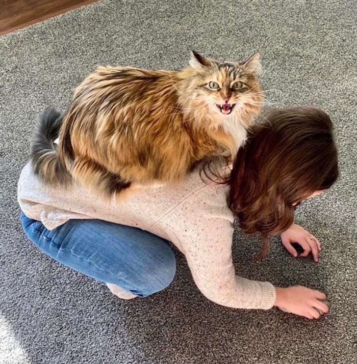 c65aa852c0b40b743baa92f34f