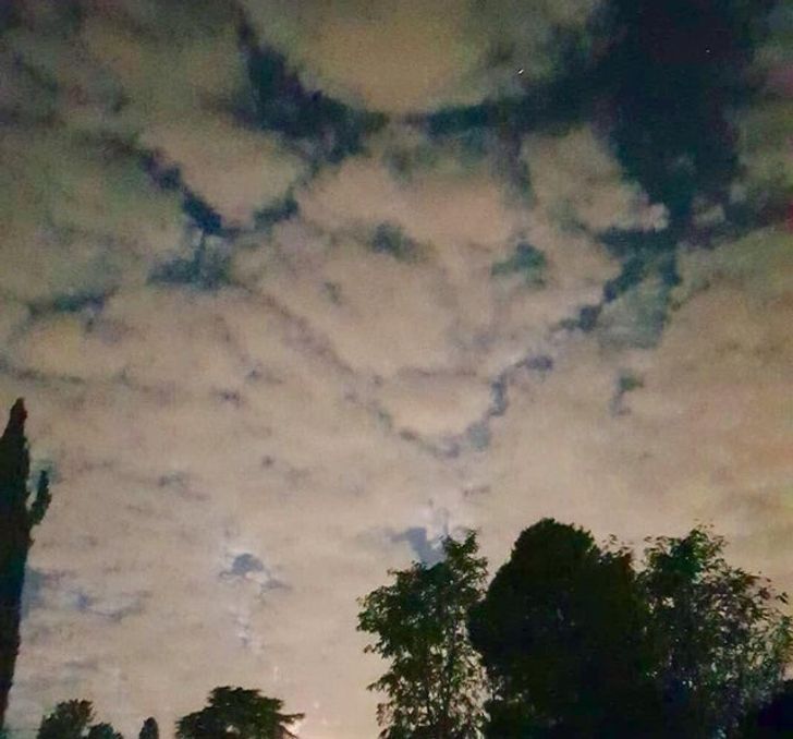 c66b2a5243942cdd6bd2942479