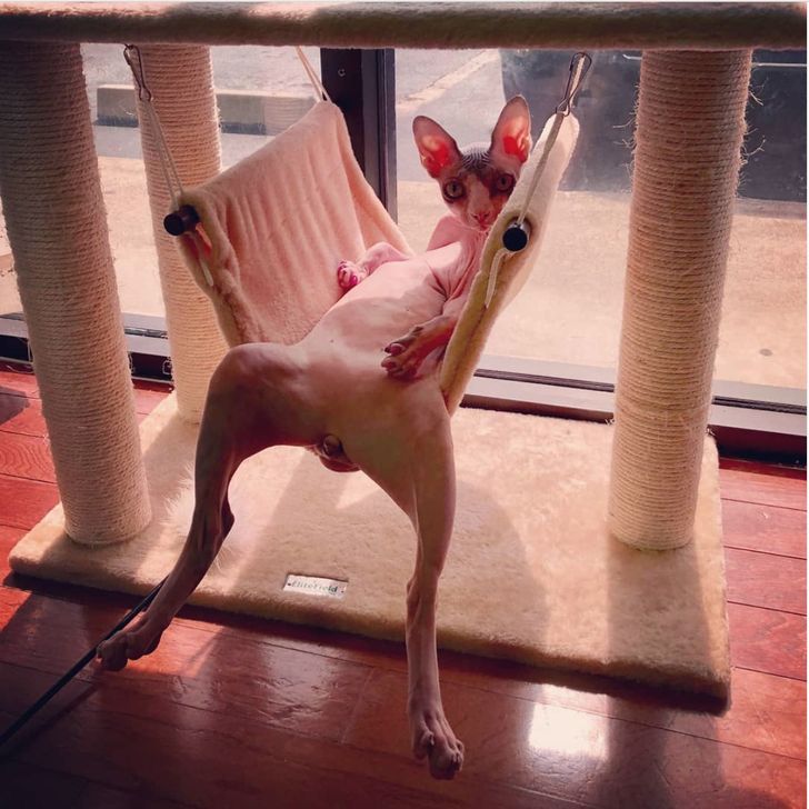 c6746c5df9b99a0ed1fe3343e4 c6746c5df9b99a0ed1fe3343e4