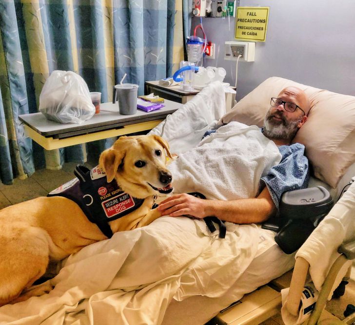 c67dc2539fbd00e532e73f24dd