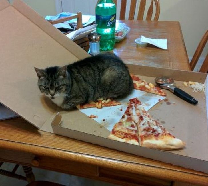 c688215aee8550e0b91b3768c8