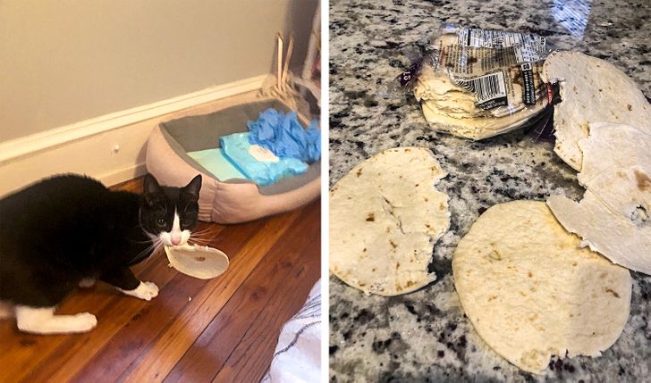 c6988750e88e9f7d557b73b723