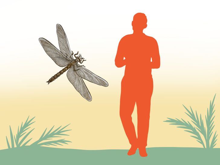 c69bbd5495842534d6dbd2a6c5