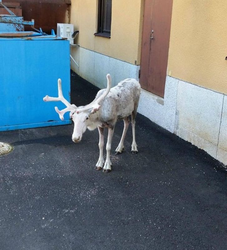 c6b08450b4841ee7960d638a71