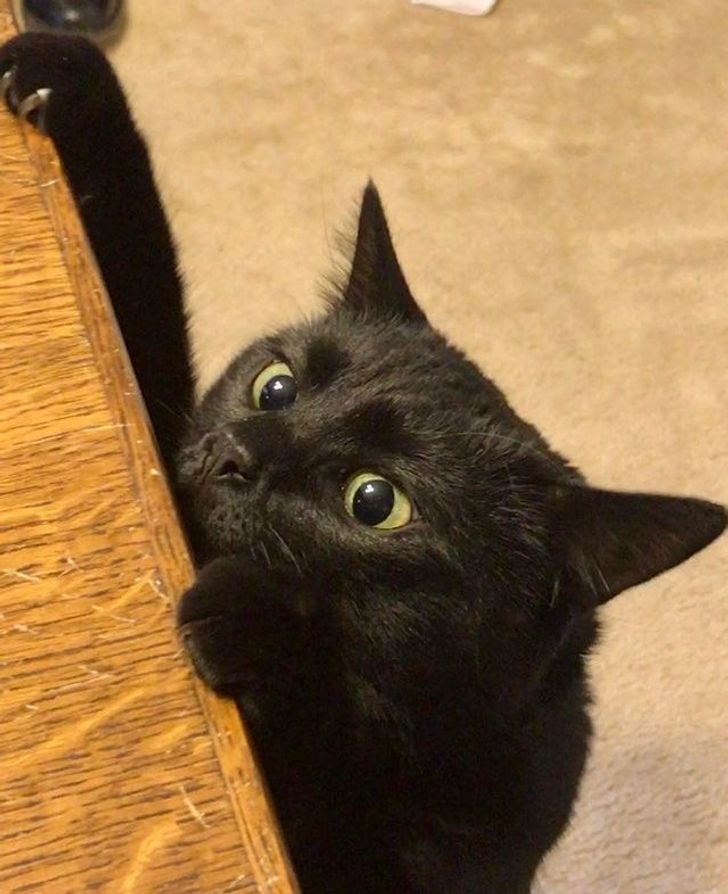 c6bd545cb3ae3e28b171385c0d