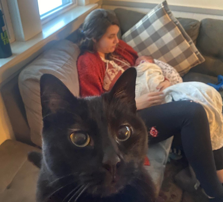 c6c0235ef09b8b895d2f8a8390 c6c0235ef09b8b895d2f8a8390