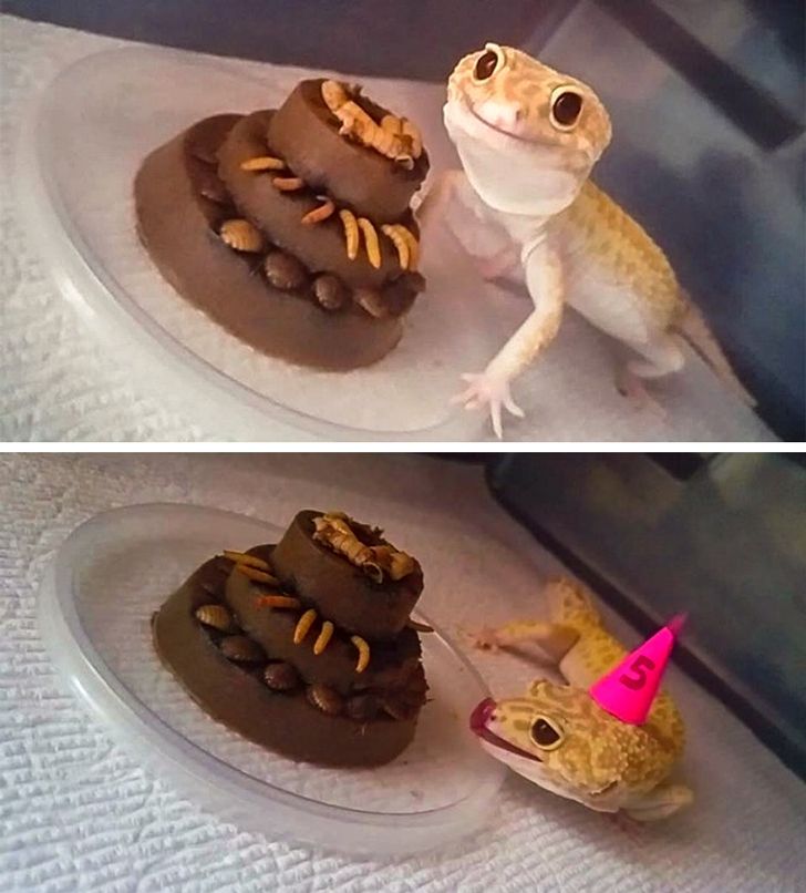 c6c10d5e0eb2f4edd9f833fcf4