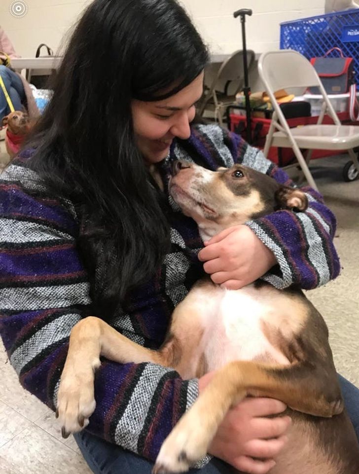 c6c21b528ea2b4760dfbccff97