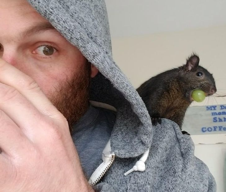 c6c6c05139bd6801289cc20b15