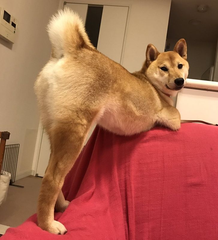 c6d7725e67ab934f99412661d7