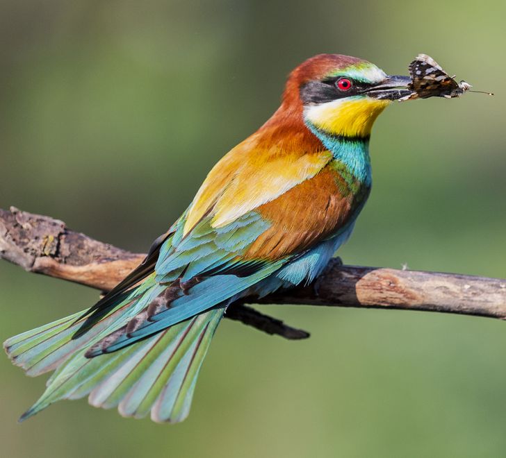 c6d8aa5299bfedd39de6cbb146