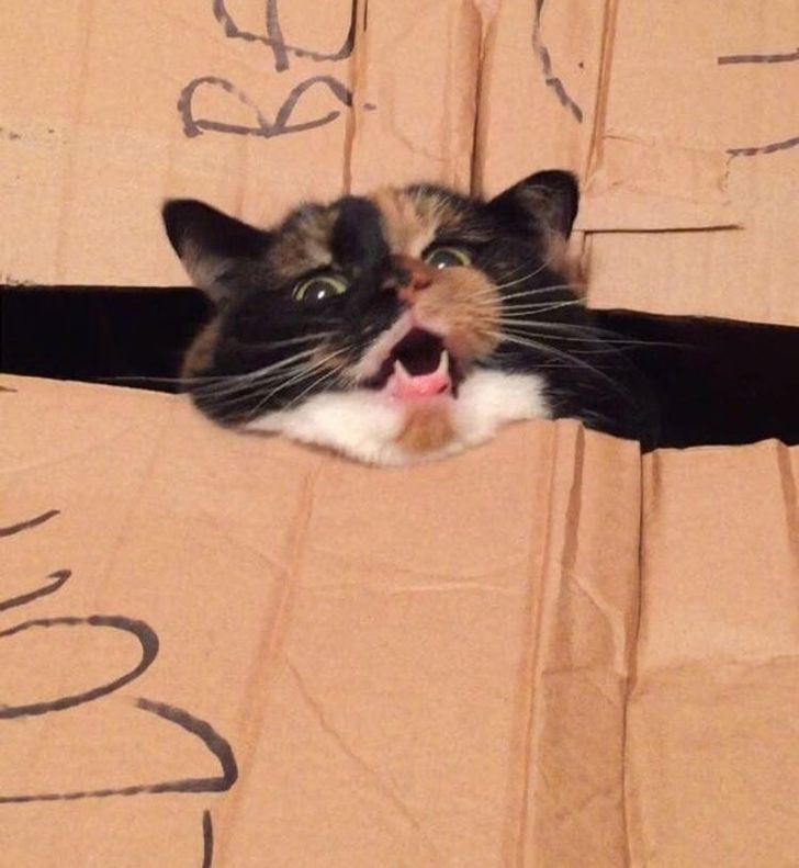 c6ee4456f89d9128e32c2d519e