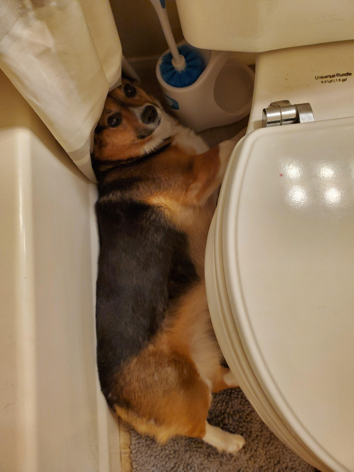 c6f206543495cfd4150d6c22ac