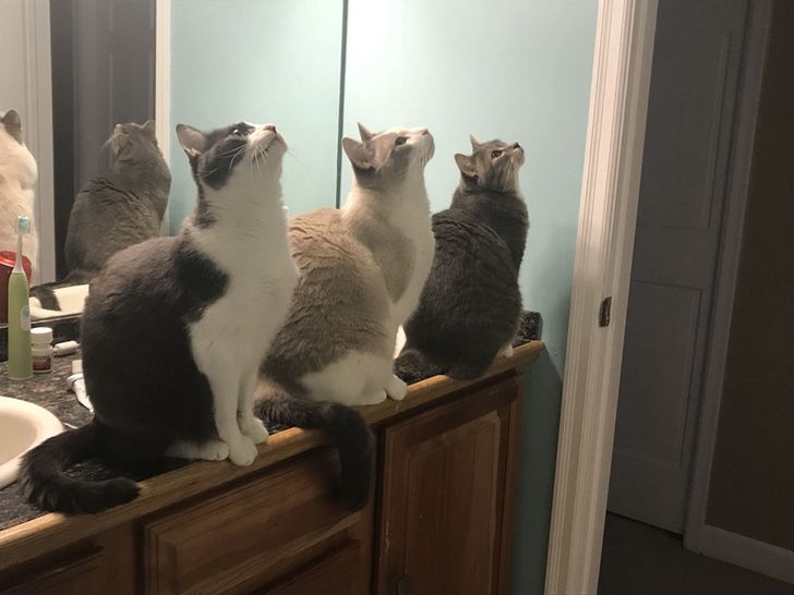 c6f96b54d0aeeae81c0ccd59e3