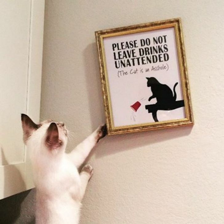 c702175376a76d0338eda8fb25