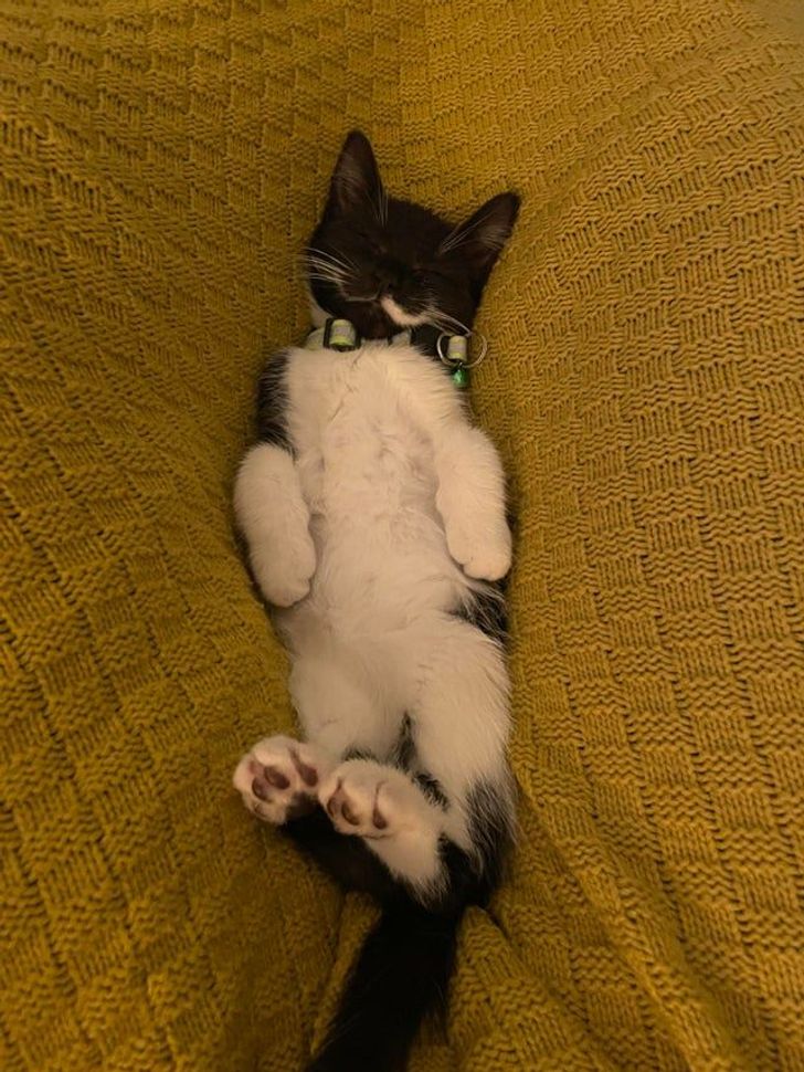 c709ed51e6a58b0ea0419a7c9d