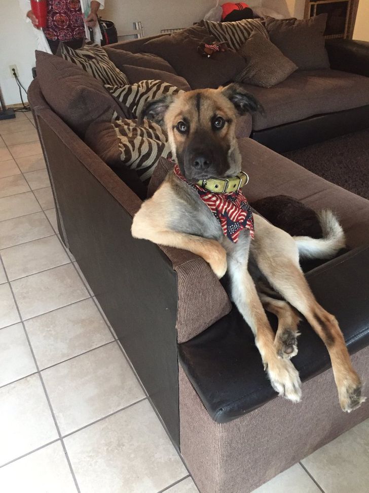 c70e1f5eb78edece1631b51e95