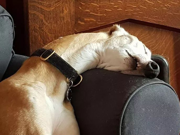 c711e45372b623f96efdf472a2