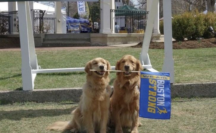 c7170451ba91b626da22d817b8