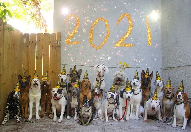 c71f4d5dcb9a2d51b096c45c34