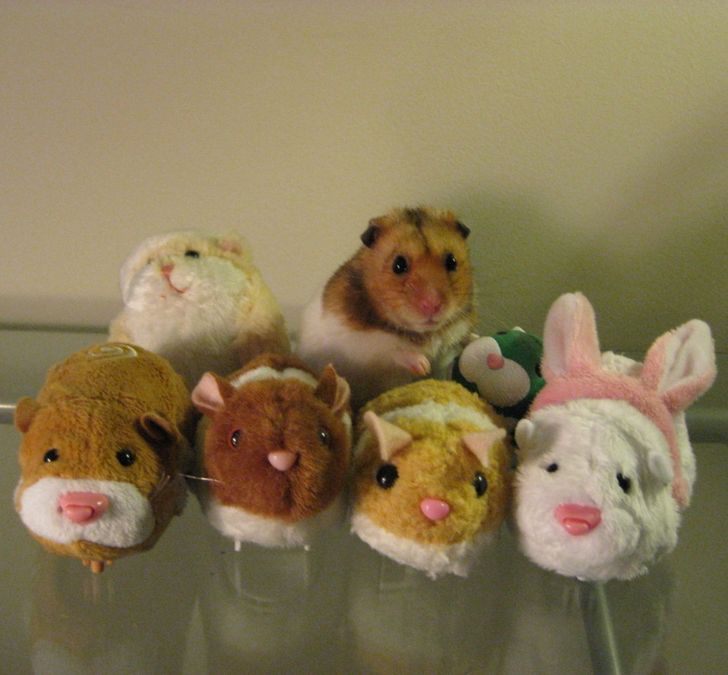 c73f245d648092945b405e696d