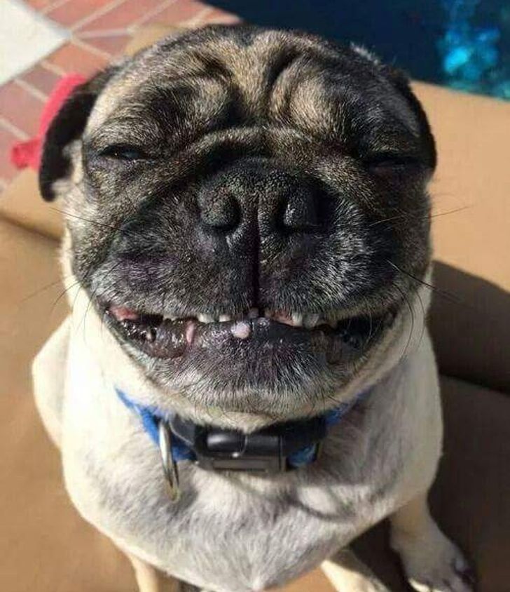 c740715e8a89640ebef4063bc1