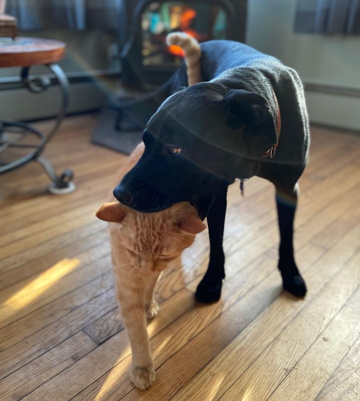 c7490e5a9f88da9d99d4120ef0