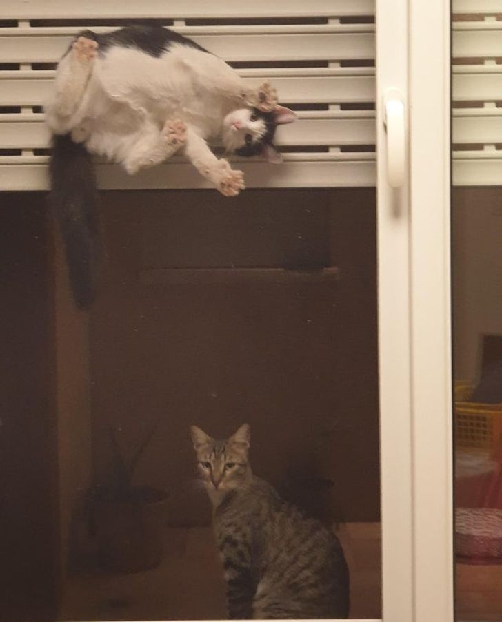 c74de7561582db0ac023edbaaf