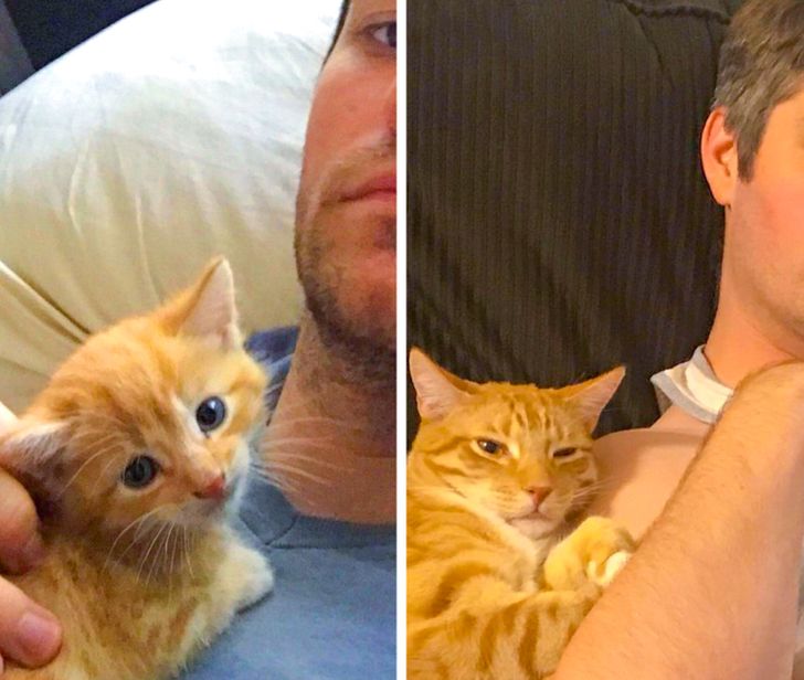 c755ec5f48b98c024aa32276d4